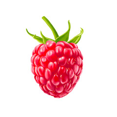 raspberry fruit realistic - obrazy, fototapety, plakaty