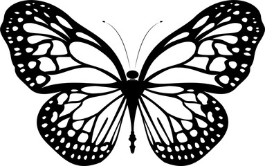 Digital drawing of a butterfly with  black wings