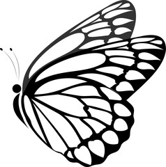 Digital drawing of a butterfly with  black wings