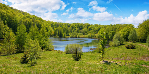 landscape with mountain lake. forest on the hill beneath a sky with puffy clouds. sunny weather in spring