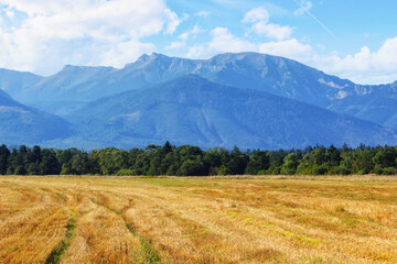 idyllic summer scene in rural tatra landscape, slovakia. bright sunny weather