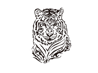 Hand-drawn tiger picture vector image