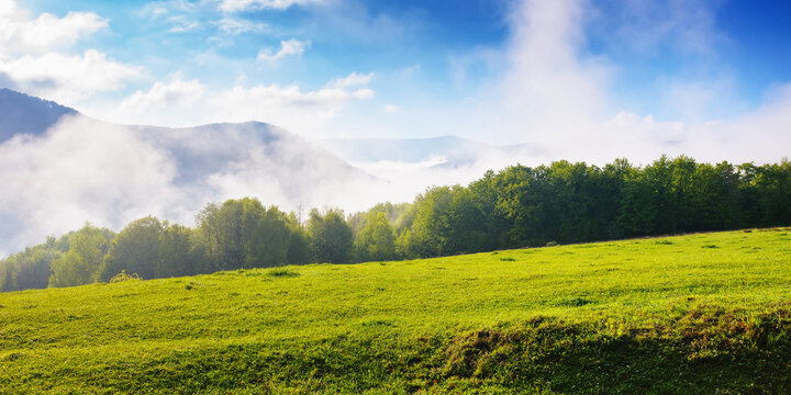 rural landscape with grassy meadows and pastures. grassy fields and hills. fog in the valley