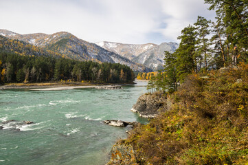 Obraz premium View of river Katun and Altay mountains