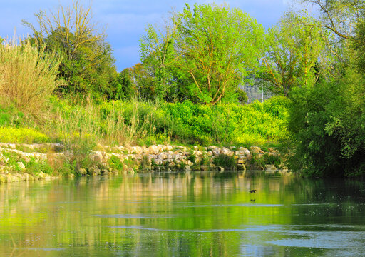 Foto di paesaggio sul fiume in Pescara. fauna e vegetazione del parco fluviale di Pescara