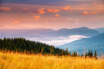 Naklejka na ściany i meble Utterly spectacular view of the sunset over the mountain ranges. Carpathian mountains, Ukraine.
