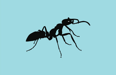 Black ant free vector arts