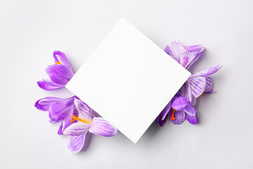 Composition with blank card and Saffron flowers on white background
