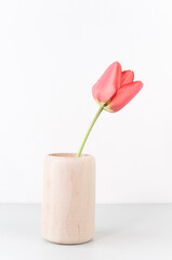 immagine con vaso in legno e singolo tulipano rosa rosso su superficie grigia e sfondo bianco