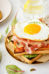 Delicious sandwich with fried egg and bacon on light background