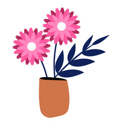 pink flower in a pot