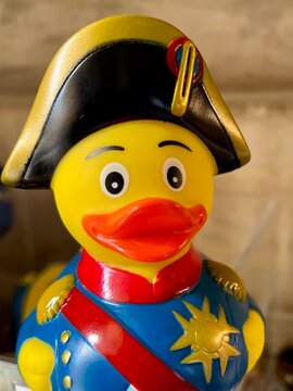 Pato Napole&atilde;o
