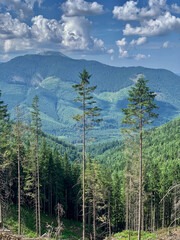 landscape from Ukraine with sky and clouds