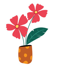 flower in flowerpot