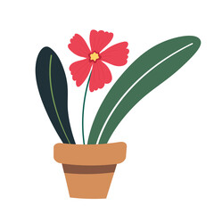 flower in flowerpot