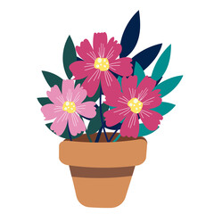 flower in flowerpot
