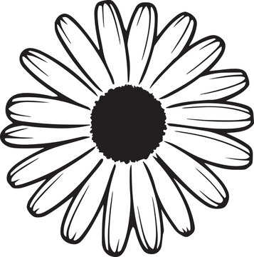 Daisy Silhouette Vector Illustration , SVG