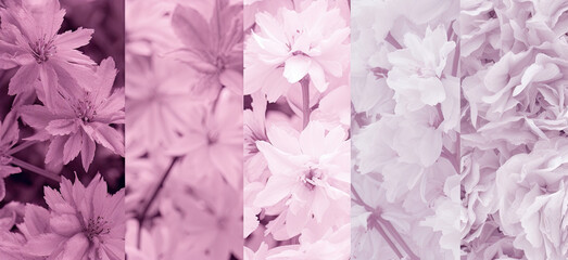 pink flowers monochromatic textured background, generative AI Art