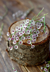 bouquet of dried flowers.