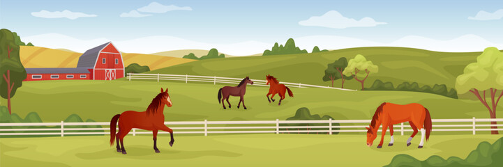 Equine farm landscape. Equestrian ranch stable yard running horses, horse eating grass on summer field, purebred stallion pasture panoramic background ingenious vector illustration - obrazy, fototapety, plakaty