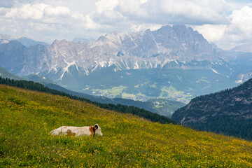 Fototapeta premium Dolomites, Italy
