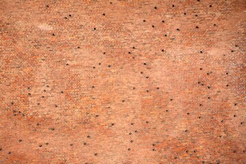Red Brick Detailed 