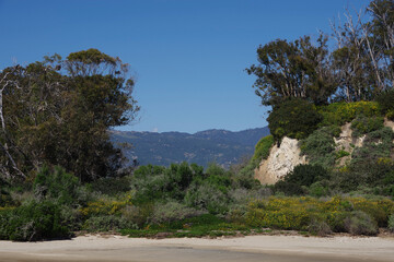 Fototapeta na wymiar Southern California coastal landscape in spring