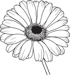 Gerberas flower silhouette vector illustration , SVG