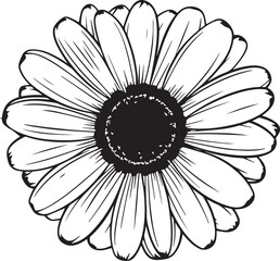 Gerberas flower silhouette vector illustration , SVG