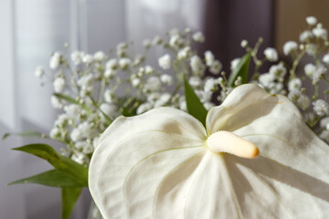 A beautiful, large, white anthurium flower and fragile, delicate flowers in a white bouquet in a glass vase. Sun rays in white curtains in the background. Copyspace