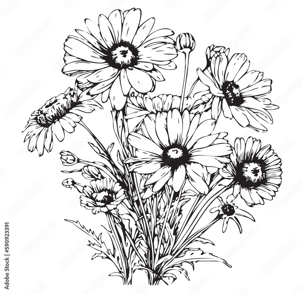 Sticker Daisies sketch hand drawn in doodle style illustration