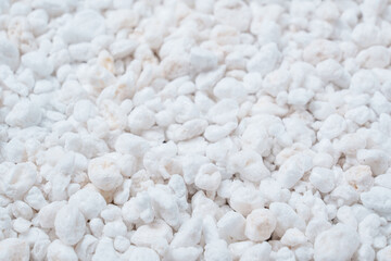 Perlite for plants. neutral material of volcanic origin