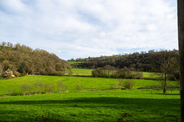Green meadow turning into hill on which trees grow. Blue sky with small clouds. Rural landscape in France.