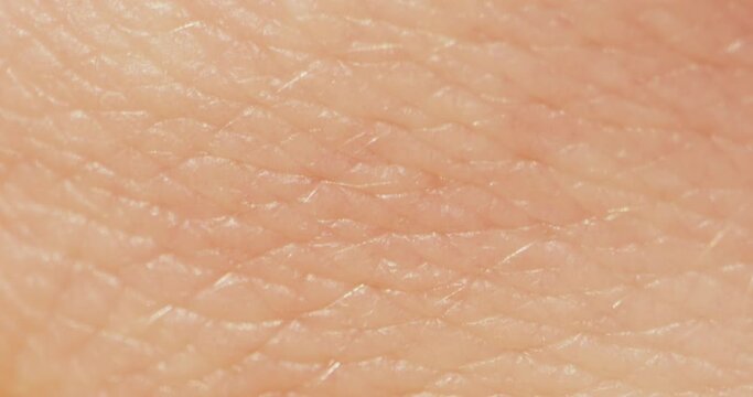 Hand skin texture close-up. Arm surface macro shooting. Body and healthcare, hygiene and medicine concept.