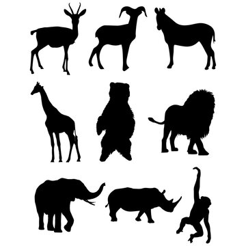 Collection of animal silhouettes isolated on the white background. Vector stock illustration. 
