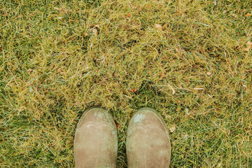 Garden shoes on the lawn. Gardener scarified in the garden. moss in the garden