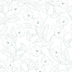 Morning-glory seamless pattern. Vector floral green illustration