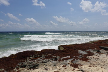 Mexico - Cozumel - Beaches