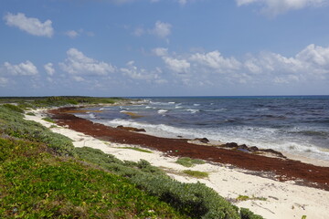 Mexico - Cozumel - Beaches