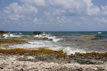 Mexico - Cozumel - Beaches