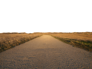Dirt road through dry meadow with cut out background.