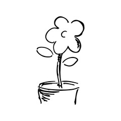 Flower in pot. Hand drawn doodle vector illustration.