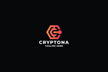 Crypto Coin Cube Pro Logo Template
