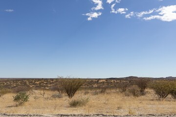 Fototapeta premium landscape in the rongo region of Namibia
