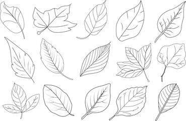 Set of leaves line icons. leaf line icons set. vector illustration