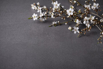 Flowers composition. White flowers on gray background. Spring concept. Flat lay, copy space