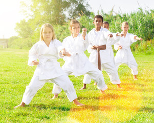 Naklejka na ściany i meble Group of kids in white kimono training outdoors on green grass.