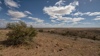 View of Mundi Mundi plains at lookout. Desert landscape with blue sky and white clouds