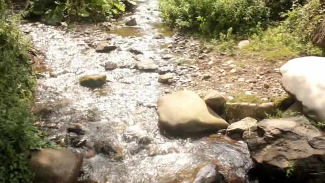 A gentle stream in a forest. Water babbles over the stones. The shot features a top-down view with a camera movement.