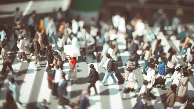横断歩道を渡る人々 スローモーション